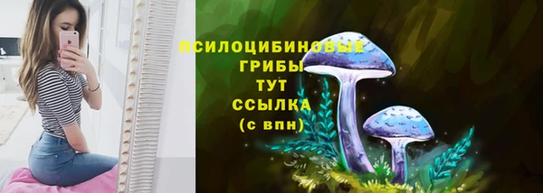 a pvp Богородицк