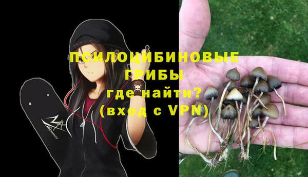 a pvp Богородицк